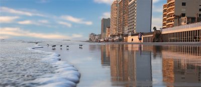 Sandpiper birds roaming at the beach with the pier in the background